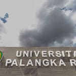UPR Naik Peringkat di EduRank 2025, Bukti Kemajuan Akademik dan Riset gerbang