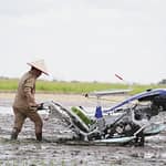 Gubernur Agustiar Sabran Hadiri Gerakan Tanam Padi Secara Serentak, Fokus Swasembada Pangan 23042025122819_0