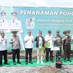 Konservasi Orang Utan dan Lingkungan Terus Dilakukan Kalteng 21052025031421_2