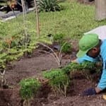 DLH Optimalkan 94 Ruang Terbuka Hijau untuk Ruang Publik Berkualitas di Palangka Raya WhatsApp-Image-2025-01-18-at-09.16.34-660×330