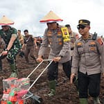 Tiga Kecamatan di Palangka Raya Jadi Lokasi Penanaman Jagung Serentak Polda Kalteng WhatsApp-Image-2025-01-21-at-18.04.58-768×578