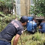 Petugas Damkar Evakuasi King Cobra Tiga Meter di Permukiman Warga WhatsApp Image 2025-05-14 at 13.10.07