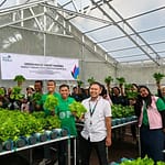 Smart Farming PLN Hadirkan Solusi Pangan di Gambut 94d751c7-3dfb-4446-85a7-82584f58c454-768×576