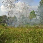 150 Titik Karhutla Terjadi di Palangka Raya, Jekan Raya Paling Rawan 79ede47e-af81-4701-b7ae-f9bb77fe9ebf-660×330