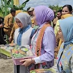 Gerbang Paraga Jadi Daya Tarik, Bunda PAUD Provinsi Apresiasi Posyandu Rosela Katingan Screenshot_20251001_134900_Facebook