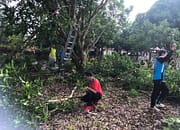 Gotong Royong Pegawai Diskominfostandi Katingan Ciptakan Lingkungan Bersih dan Sehat