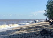 Menyusuri Kedamaian di Ujung Pandaran, Sepotong Surga di Selatan Kalimantan