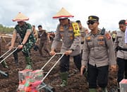 Tiga Kecamatan di Palangka Raya Jadi Lokasi Penanaman Jagung Serentak Polda Kalteng