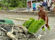 Sinergi Petani dan Pemerintah Perkuat Pangan di Barsel