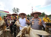 Polresta Palangka Raya Panen Jagung Serentak Nasional