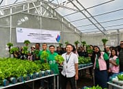 Smart Farming PLN Hadirkan Solusi Pangan di Gambut
