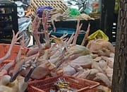 Inflasi Kota Palangka Raya Terkendali Sepanjang Tahun 2025