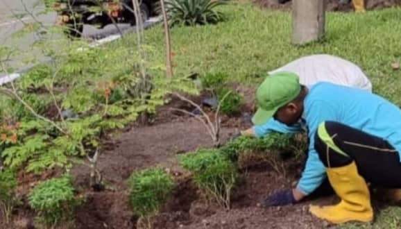 DLH Optimalkan 94 Ruang Terbuka Hijau untuk Ruang Publik Berkualitas di Palangka Raya